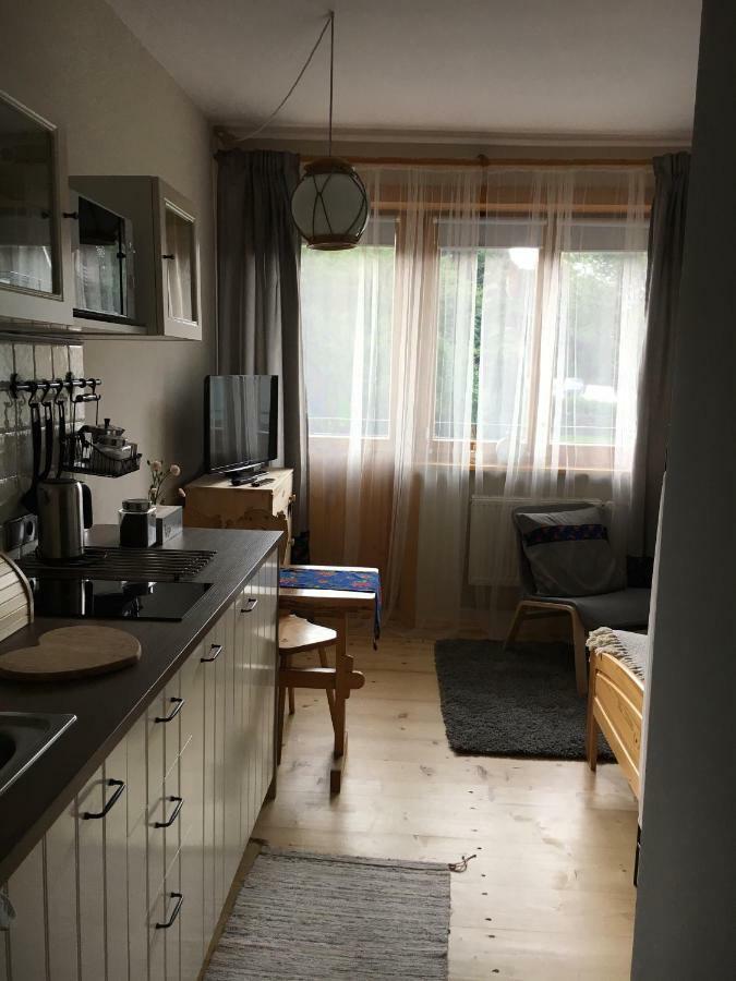 Nosalove Apartamenty ザコパネ エクステリア 写真